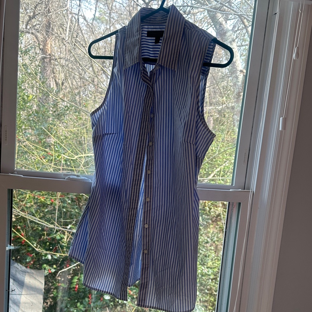 Banana Republic Blue and White Striped Top